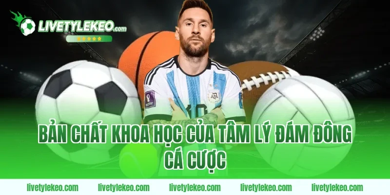 Bản chất khoa học của tâm lý đám đông cá cược