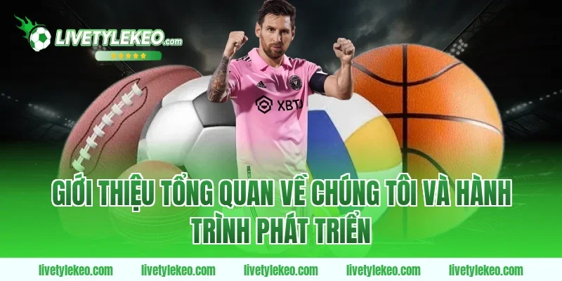 Giới thiệu tổng quan về chúng tôi và hành trình phát triển