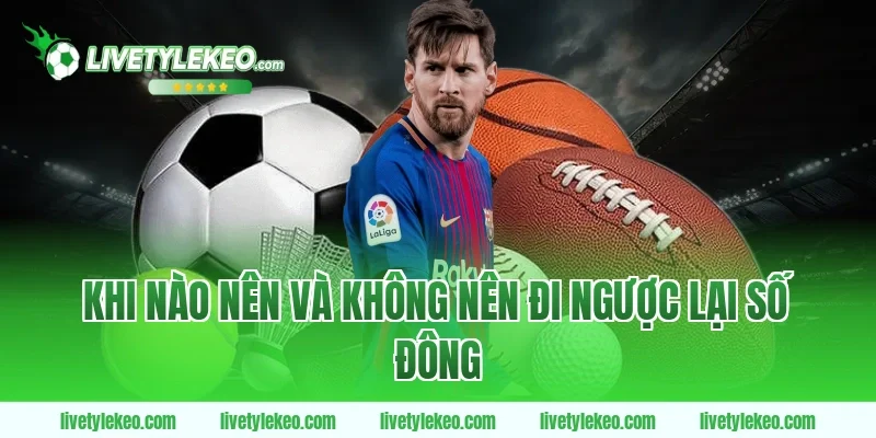 Khi nào nên và không nên đi ngược lại số đông