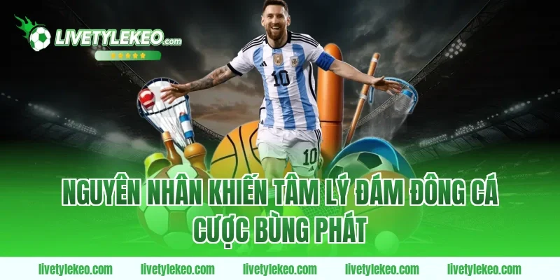 Nguyên nhân khiến tâm lý đám đông cá cược bùng phát
