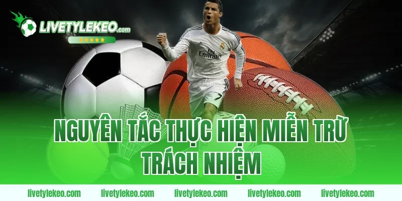 Nguyên tắc thực hiện miễn trừ trách nhiệm