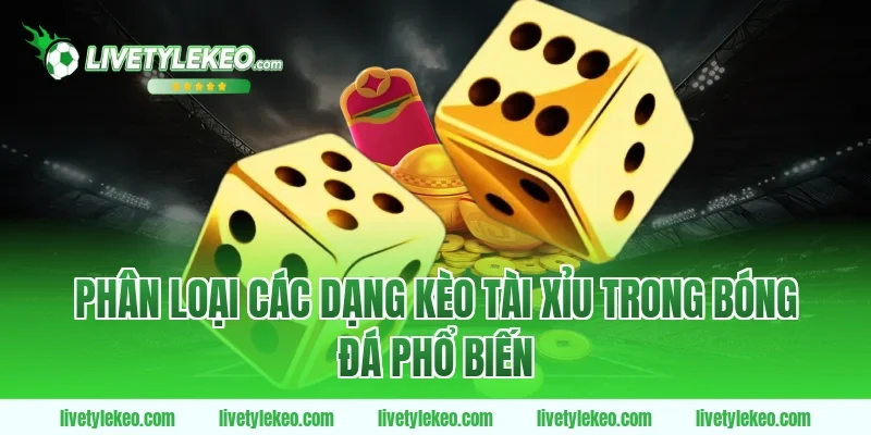 Phân Loại Các Dạng Kèo Tài Xỉu Trong Bóng Đá Phổ Biến