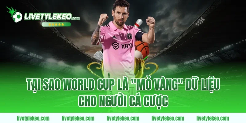 Tại Sao World Cup Là "Mỏ Vàng" Dữ Liệu Cho Người Cá Cược