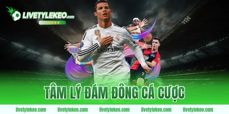 tâm lý đám đông cá cược